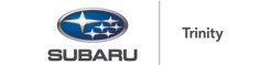 Logo of the Brand alongside Dealer Site Name.